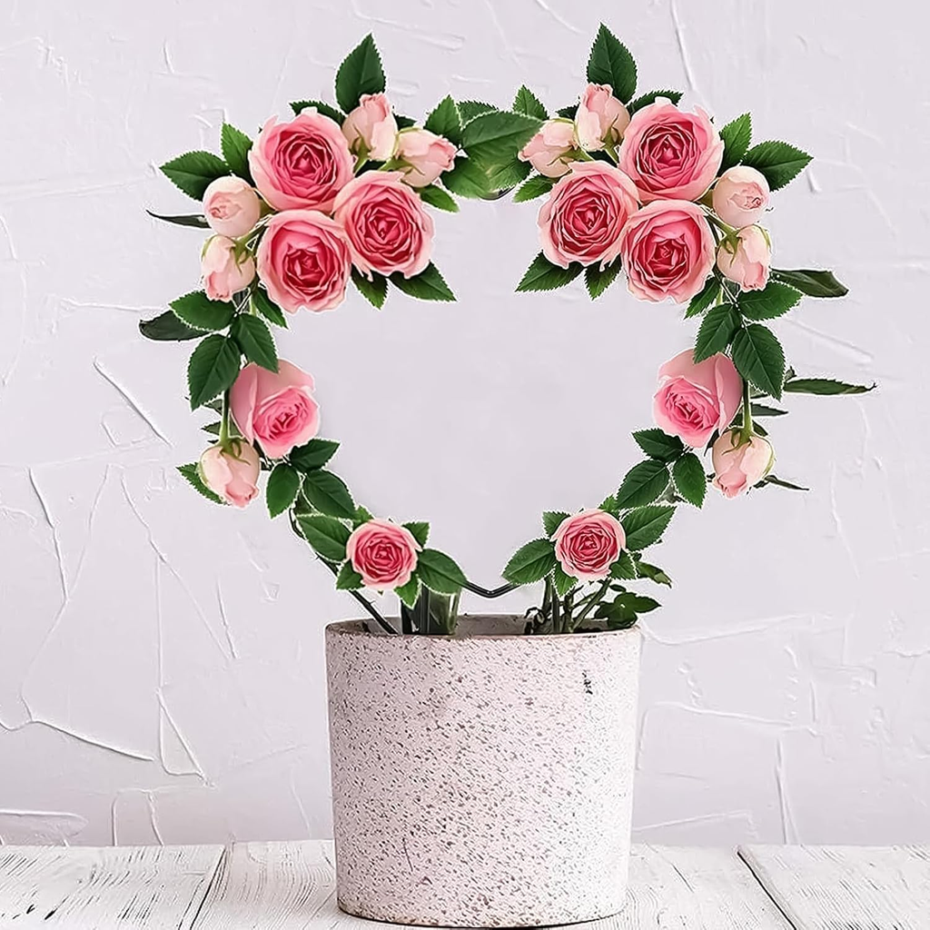 2 PCS Heart Shaped Plant Trellis Indoor with 100 Plant Twist Tie, Iron Heart Tre