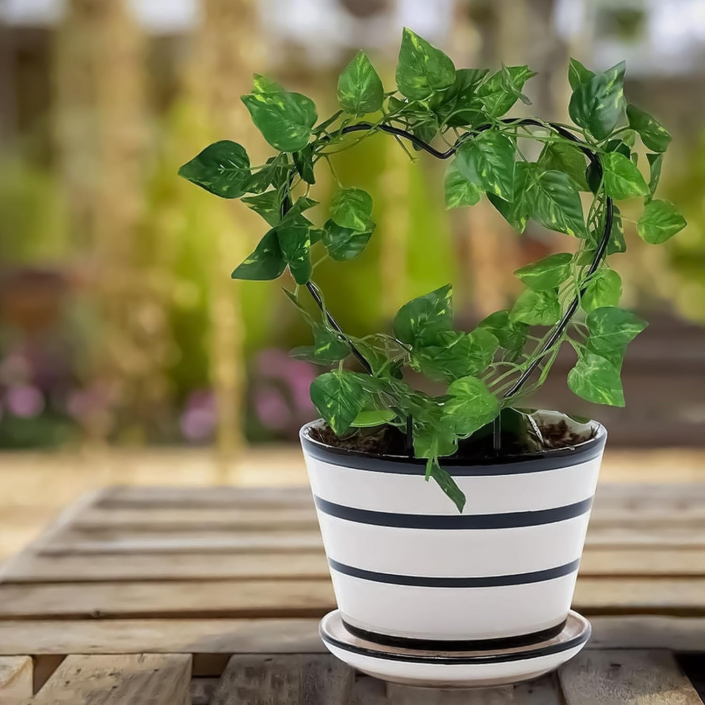 2 PCS Heart Shaped Plant Trellis Indoor with 100 Plant Twist Tie, Iron Heart Tre